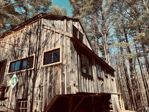 A rustic wooden cabin nestled among tall trees under a clear blue sky.