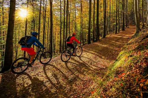 Two cyclists ride along a forest trail covered in autumn leaves, with sunlight filtering through the trees.