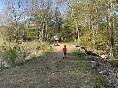 A child walks along a grassy path by a lake, surrounded by trees and greenery on a sunny day.