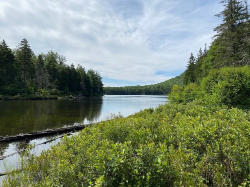 A serene lake surrounded by lush greenery and trees under a partly cloudy sky.