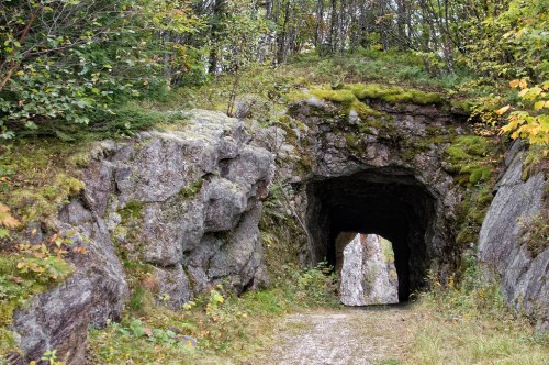 A moss-covered rock formation with a tunnel entrance, surrounded by trees and autumn foliage.
