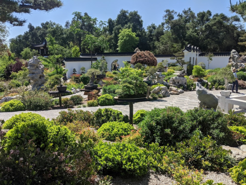 Lush garden with diverse plants, rocks, and pathways, featuring traditional architecture in the background under a clear sky.