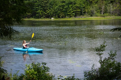 A person paddles a blue kayak on a calm lake surrounded by greenery and trees.
