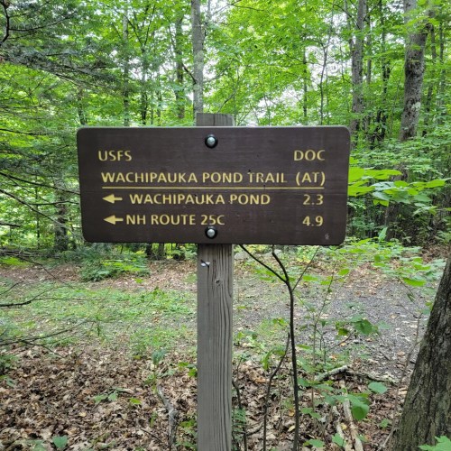 Trail sign in a forest, indicating directions to Wachipauka Pond and NH Route 25C, with distances marked.