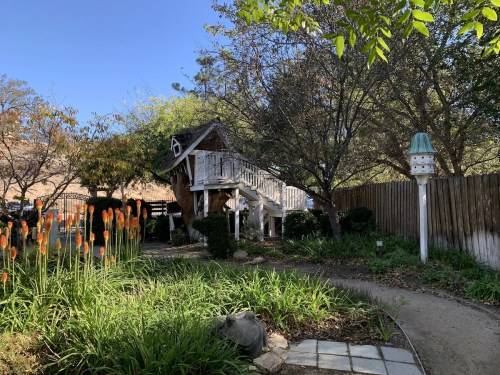 A charming garden with a wooden house, surrounded by greenery and orange flowers under a clear blue sky.