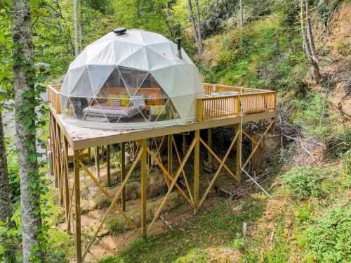 A geodesic dome cabin on stilts, surrounded by trees, with a wooden deck and a cozy interior visible through the transparent walls.