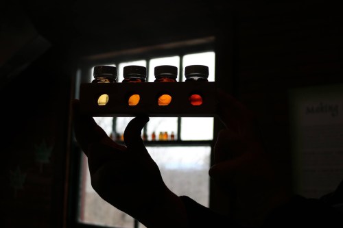 A hand holds a wooden rack with four glass vials, showcasing colorful liquids against a window backdrop.