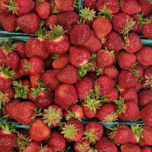 A close-up of fresh, vibrant red strawberries in green containers, showcasing their lush green leaves.