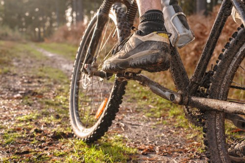 A close-up of a muddy mountain bike pedal and shoe on a dirt path surrounded by trees.