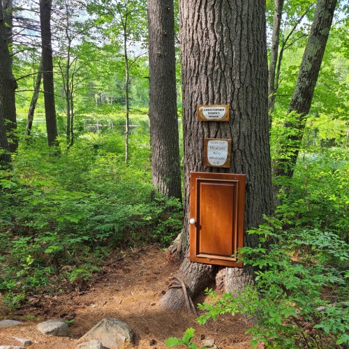A wooden box mounted on a tree in a lush forest, with a sign above it, near a tranquil pond.