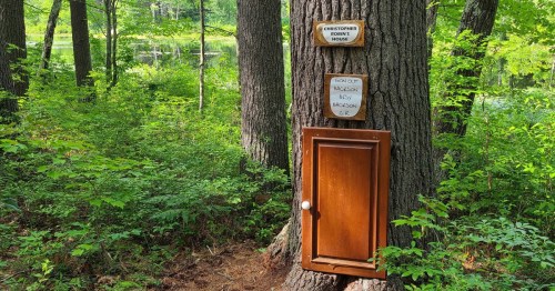 A wooden door set into a tree trunk in a lush green forest, with signs above it indicating a nature area.