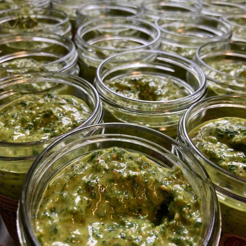 Rows of glass jars filled with vibrant green pesto, showcasing a creamy texture and fresh herbs.