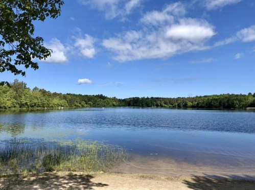 A serene lake surrounded by lush greenery under a blue sky with fluffy clouds.