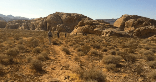 Hikers walking on a trail through a rocky desert landscape with sparse vegetation and mountains in the background.