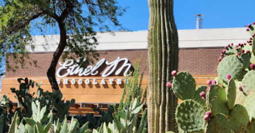 Ethel M Chocolate storefront with cacti in the foreground under a clear blue sky.