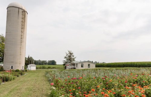 A rural scene featuring a silo, a house, and a vibrant flower garden with cornfields in the background.