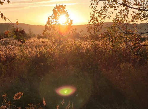 A vibrant sunset over a field, with trees and golden light illuminating the landscape.