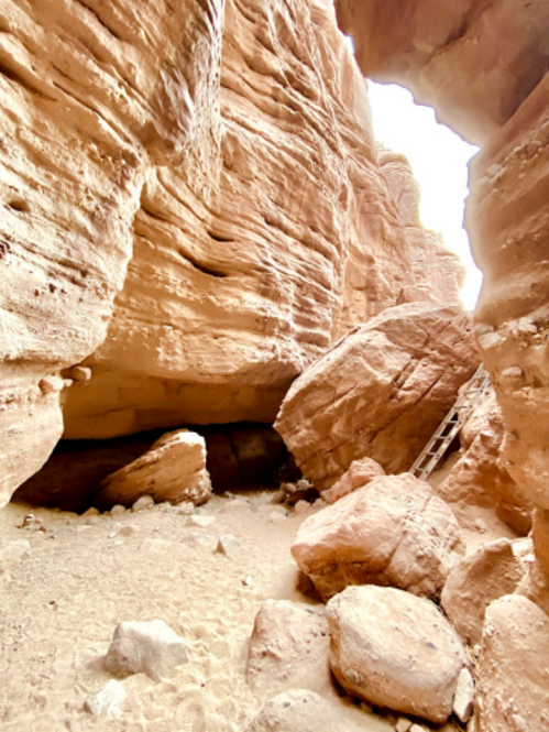 A narrow canyon with towering rock formations and a wooden ladder leaning against a boulder.