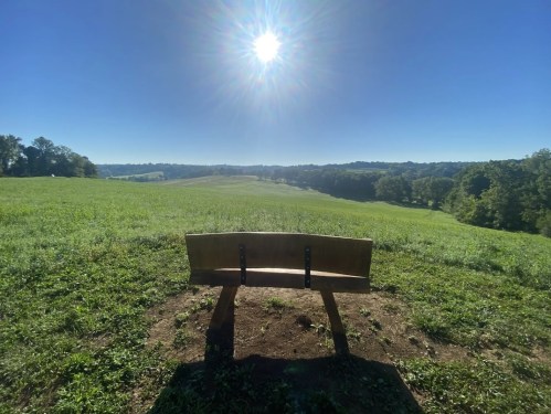 A wooden bench facing a sunny, open field with rolling hills and clear blue skies in the background.