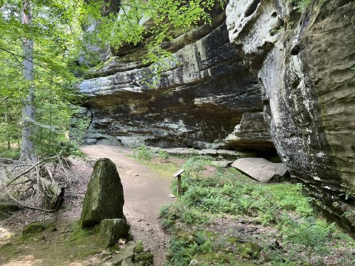 A scenic trail leads through a lush forest with a large rock formation and greenery surrounding the path.