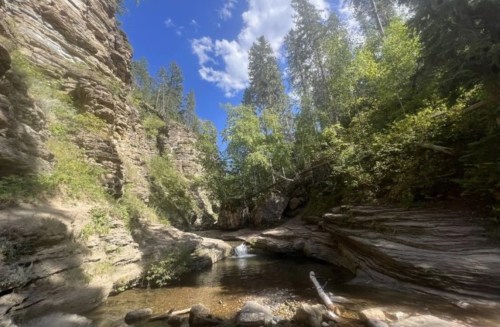 A serene canyon with a clear stream, surrounded by lush greenery and tall trees under a blue sky with fluffy clouds.