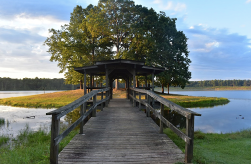 A wooden walkway leads to a gazebo surrounded by trees and water, under a clear sky.