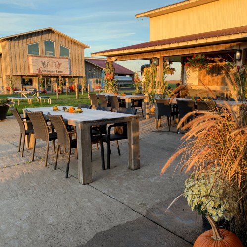 Outdoor dining area at a farm, featuring wooden tables, chairs, and autumn decorations under a clear sky.