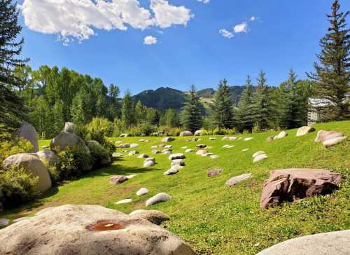 A serene landscape featuring green grass, scattered boulders, and trees under a blue sky with fluffy clouds.