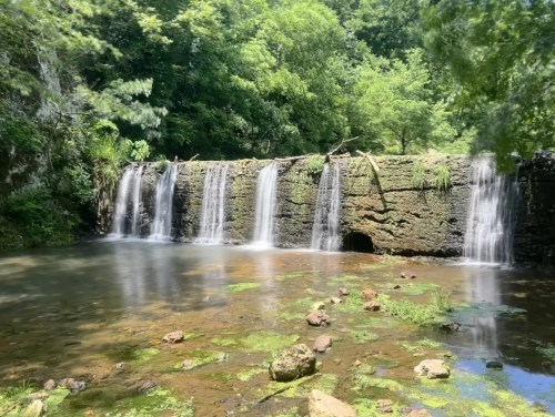 A serene waterfall cascades over a mossy stone ledge, surrounded by lush greenery and a calm pool below.