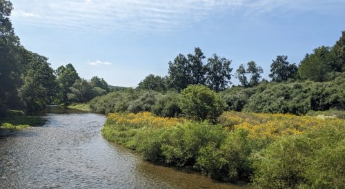 A serene river winding through lush greenery and wildflowers under a clear blue sky.