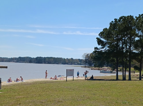 A sunny beach scene with people relaxing by the water, surrounded by trees and a clear blue sky.