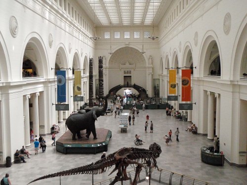 A spacious museum hall featuring an elephant sculpture, dinosaur skeleton, and visitors exploring the exhibits.