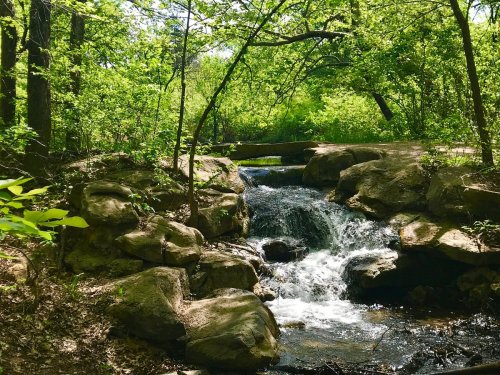 A serene stream flows over rocks, surrounded by lush green trees and foliage, with a small bridge in the background.
