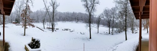 A snowy landscape with trees and a gentle slope, creating a serene winter scene.