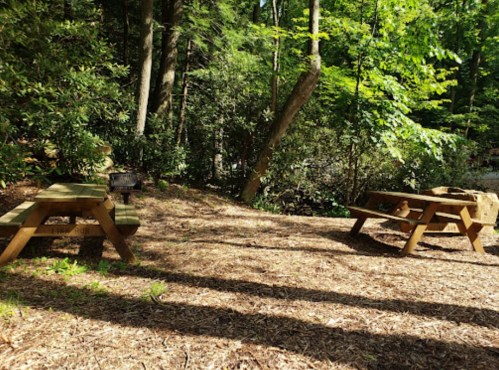 Two wooden picnic tables in a wooded area, surrounded by trees and mulch, with dappled sunlight filtering through.