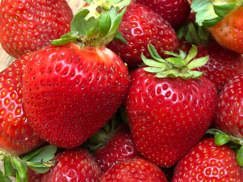 A close-up of fresh, ripe strawberries with vibrant red color and green leafy tops.