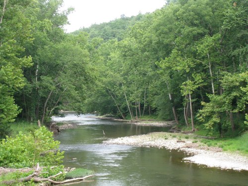 A serene river flows through a lush green forest, with trees lining the banks and gentle ripples on the water's surface.