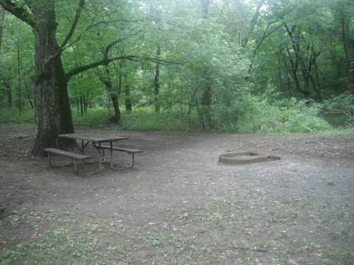 A shaded picnic area with a wooden table and a fire pit, surrounded by lush green trees and grass.