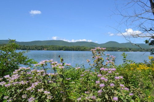 A serene lake surrounded by green mountains, with blooming wildflowers in the foreground under a clear blue sky.