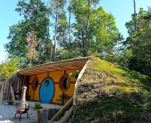 A whimsical, hobbit-style home with a grassy roof, nestled among trees in a sunny outdoor setting.