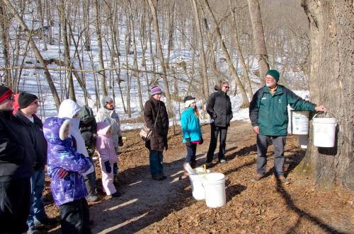 A group of people gathers around a tree, learning about maple syrup production in a snowy forest.