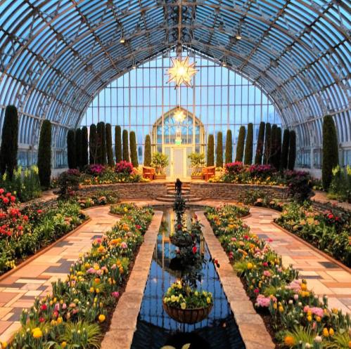 A beautifully lit greenhouse with vibrant flowers, a central pond, and tall greenery, creating a serene atmosphere.