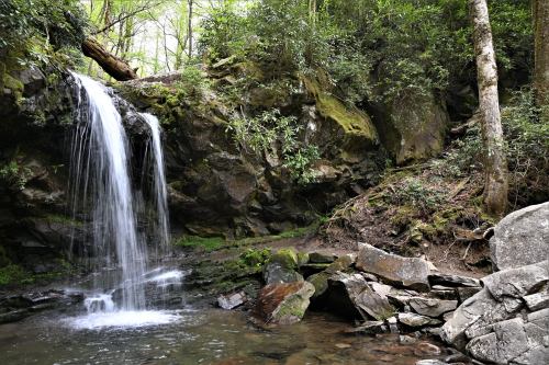 A serene waterfall cascades over rocks into a calm pool, surrounded by lush greenery and moss-covered stones.