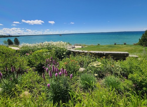 A vibrant garden with purple flowers overlooks a serene blue lake under a clear sky with scattered clouds.