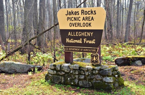 Sign for Jakes Rocks Picnic Area Overlook in Allegheny National Forest, surrounded by trees and mossy stones.
