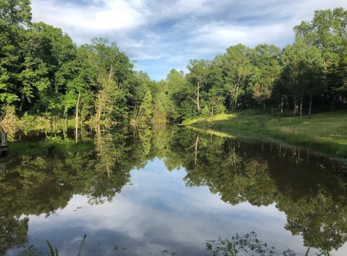 A serene pond surrounded by lush green trees, reflecting the sky and foliage in calm water.