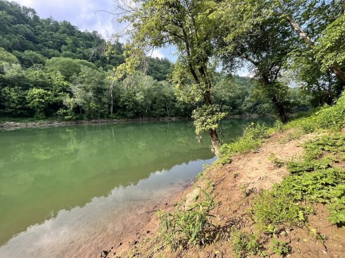 A serene riverbank scene with lush green trees and a calm, reflective water surface surrounded by hills.