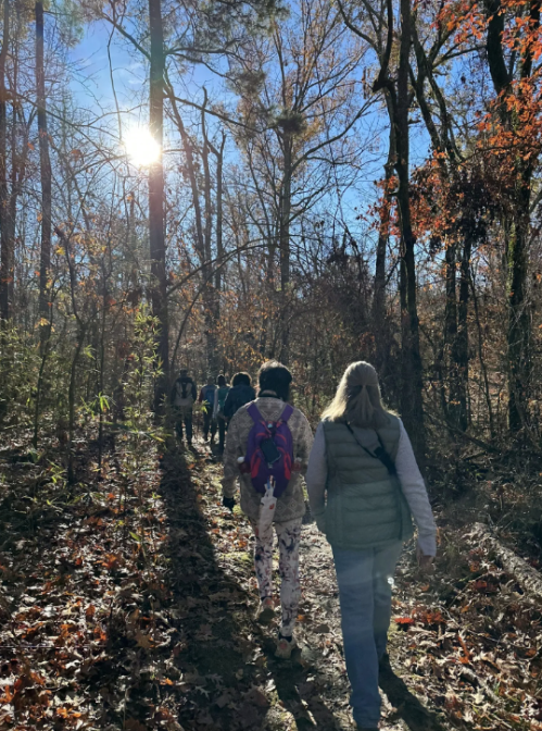 A group of people walking on a wooded trail with sunlight filtering through the trees on a clear day.