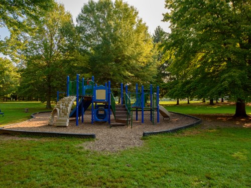 A colorful playground with slides and climbing structures, surrounded by green grass and trees in a sunny park.