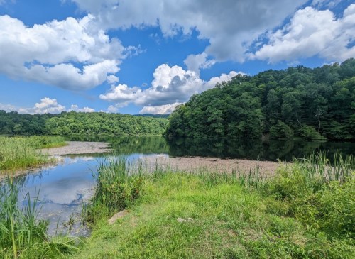 A serene lake surrounded by lush greenery and trees, under a bright blue sky with fluffy white clouds.